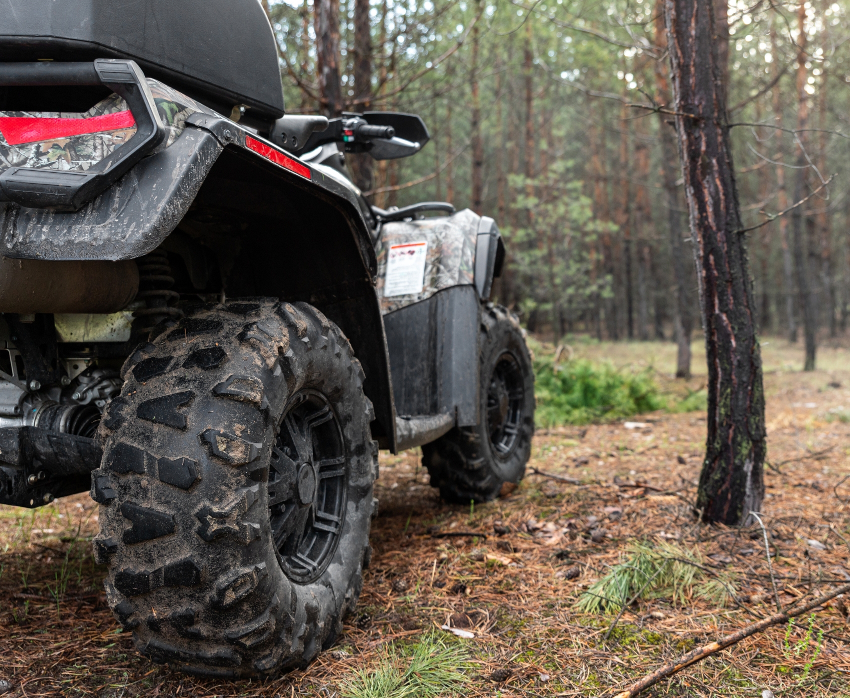 ATV in woods during Fall